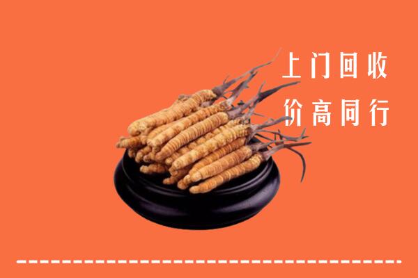 高价求购：临沧市凤庆回收散虫草