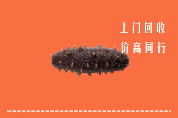 高价求购：临沧市凤庆回收海参