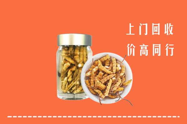临沧市凤庆回收冬虫夏草